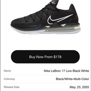 Mens Nike lebrons